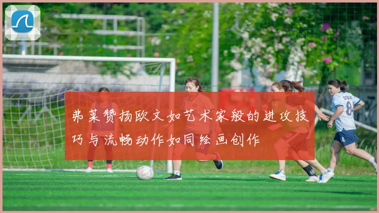 弗莱赞扬欧文如艺术家般的进攻技巧与流畅动作如同绘画创作